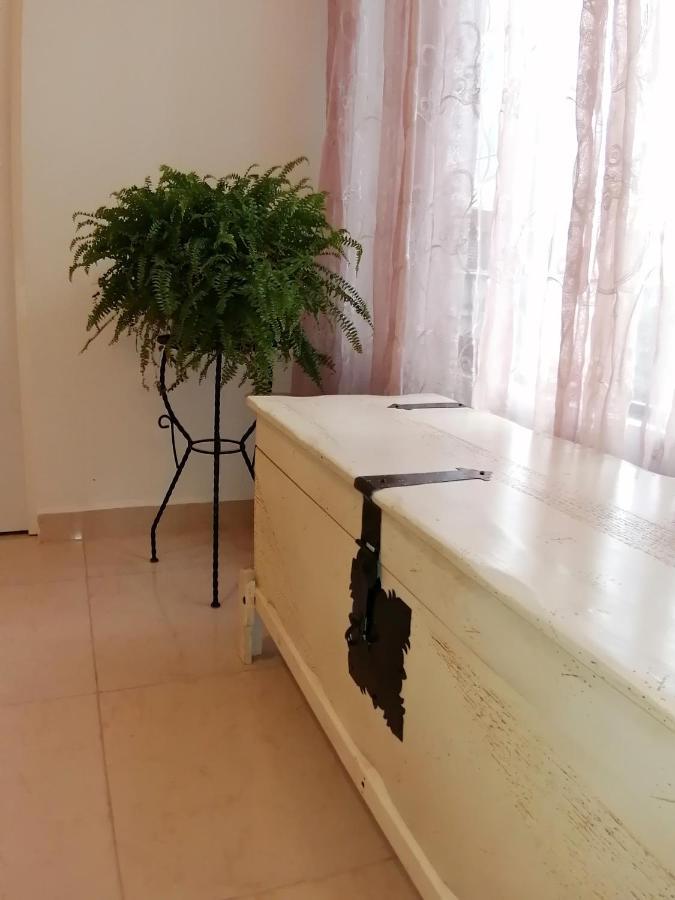 Departamento Alejandro - Completo Y Amplio Departamento En Una Zona Muy Tranquila De La Cdmx 墨西哥城 外观 照片